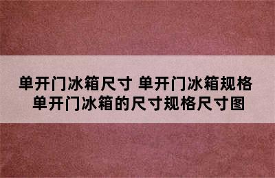 单开门冰箱尺寸 单开门冰箱规格 单开门冰箱的尺寸规格尺寸图